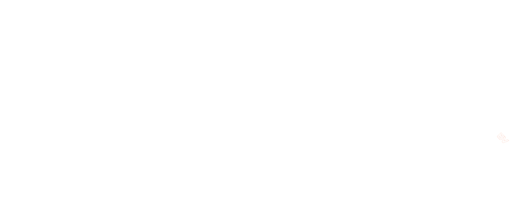 De uitgever